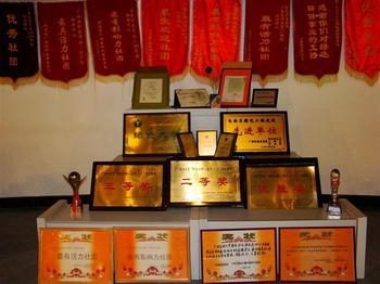 荣誉奖项